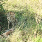 Absolute Holiday Safaris,Your Caring Partner on Holiday.